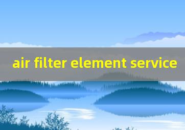 air filter element service